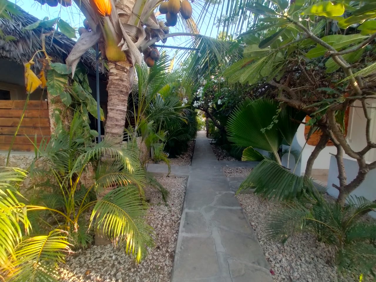 Arica Palm Hotel Gallery Image